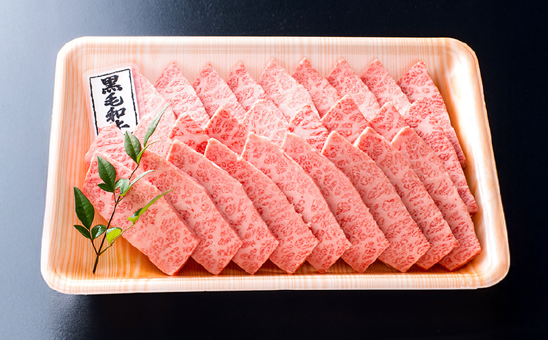 511-2 黒毛和牛特上カルビ　KN019-009