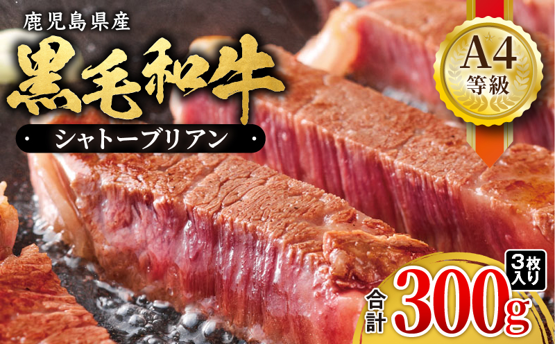714-1 超希少！A4等級黒毛和牛シャトーブリアン300g　KN021-019-02