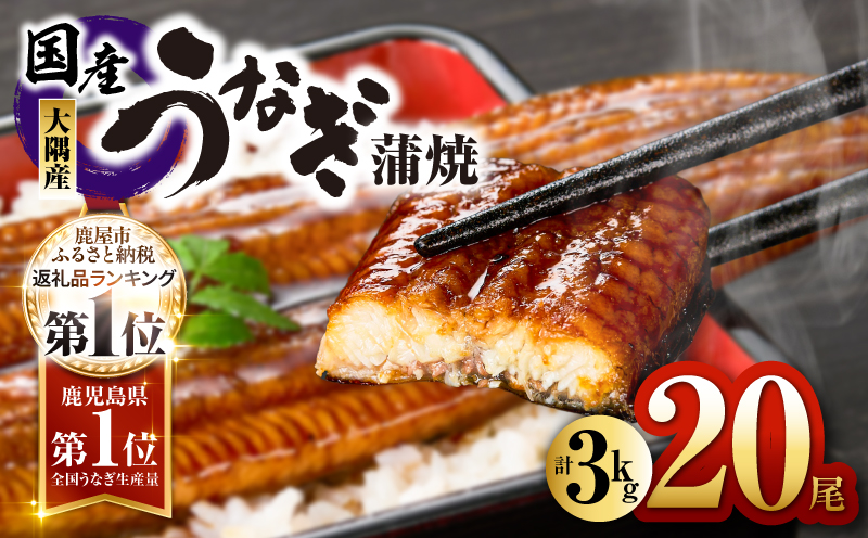 727-1 鹿児島県大隅産うなぎ蒲焼20尾（3kg）　KN007-020