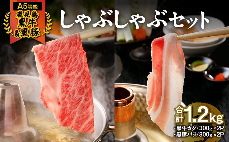 746-2 （A-2101）【5等級】鹿児島黒牛・鹿児島黒豚しゃぶしゃぶセット　KN009-002