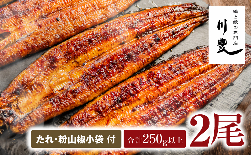 945-3 昭和56年創業 うなぎの川豊 うなぎ蒲焼2尾　KN049-001-02