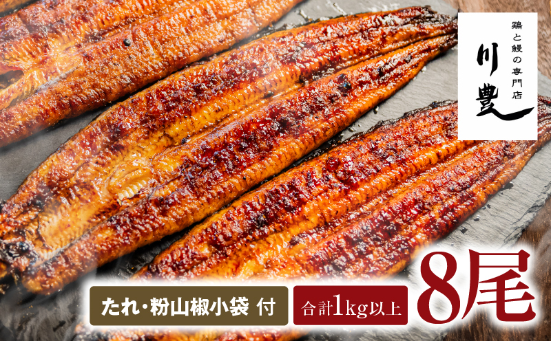 948-3 昭和56年創業 うなぎの川豊 うなぎ蒲焼8尾　KN049-001-08