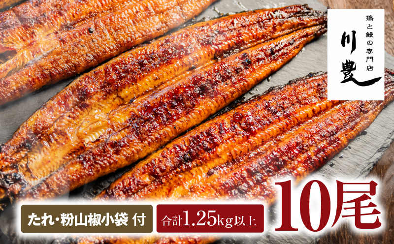 949-3 昭和56年創業 うなぎの川豊 うなぎ蒲焼10尾　KN049-001-10