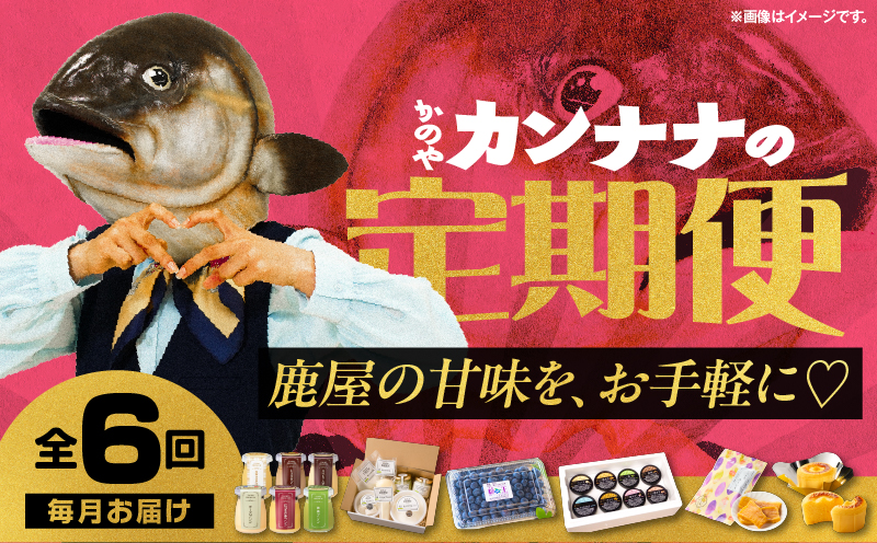 【全6回】鹿屋カンナナ便　KN000-T10