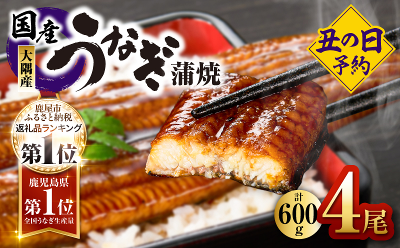 2869 【 2026年 土用の丑の日 先行予約 】 鹿児島県大隅産うなぎ蒲焼4尾（600g）　KN007-004-01b