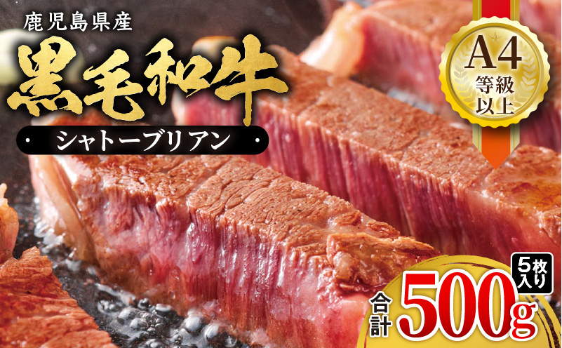鹿児島県産黒毛和牛 シャトーブリアン（A4等級以上） 500g（5枚入り）　KN021-019-04