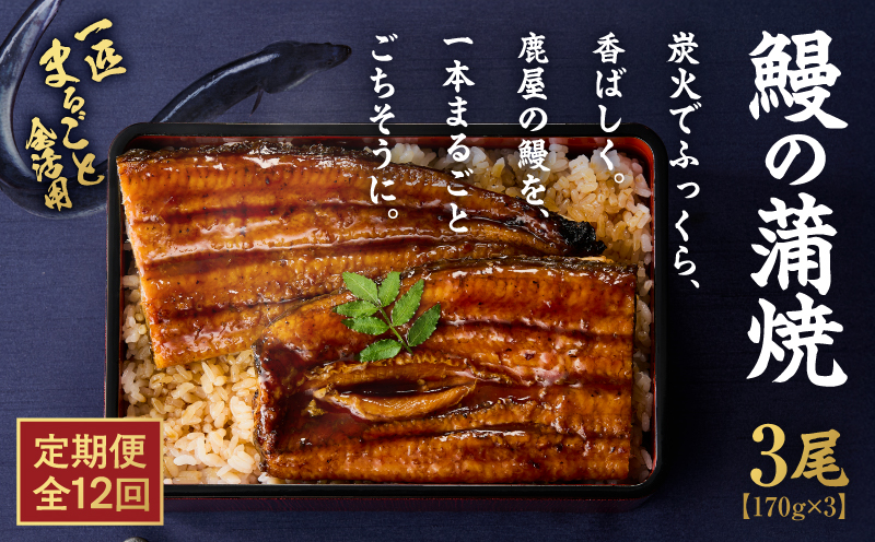 クラウドファンディングで応援！【全12回定期便】鰻の蒲焼 3尾（170g×3）　KN026-T07