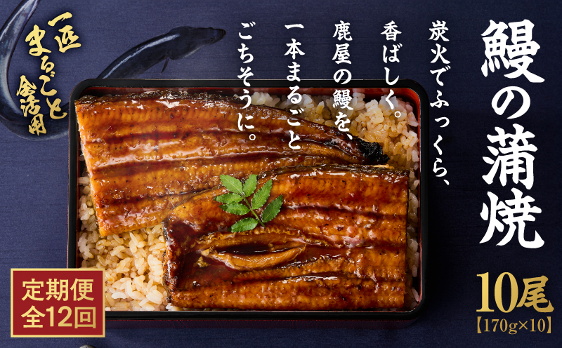 クラウドファンディングで応援！【全12回定期便】鰻の蒲焼 10尾（170g×10）　KN026-T11
