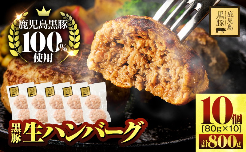 鹿児島県産黒豚生ハンバーグ 800g（80g×10個）　KN054-013