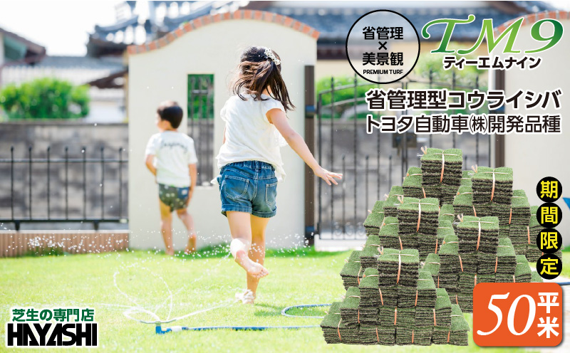 TM9（ティーエムナイン）省管理型コウライシバ トヨタ自動車(株)開発品種 50平米　KN080-007-05