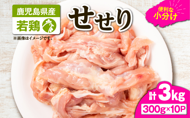 鹿児島県産若鶏せせり（小肉） 3kgセット　KN105-018