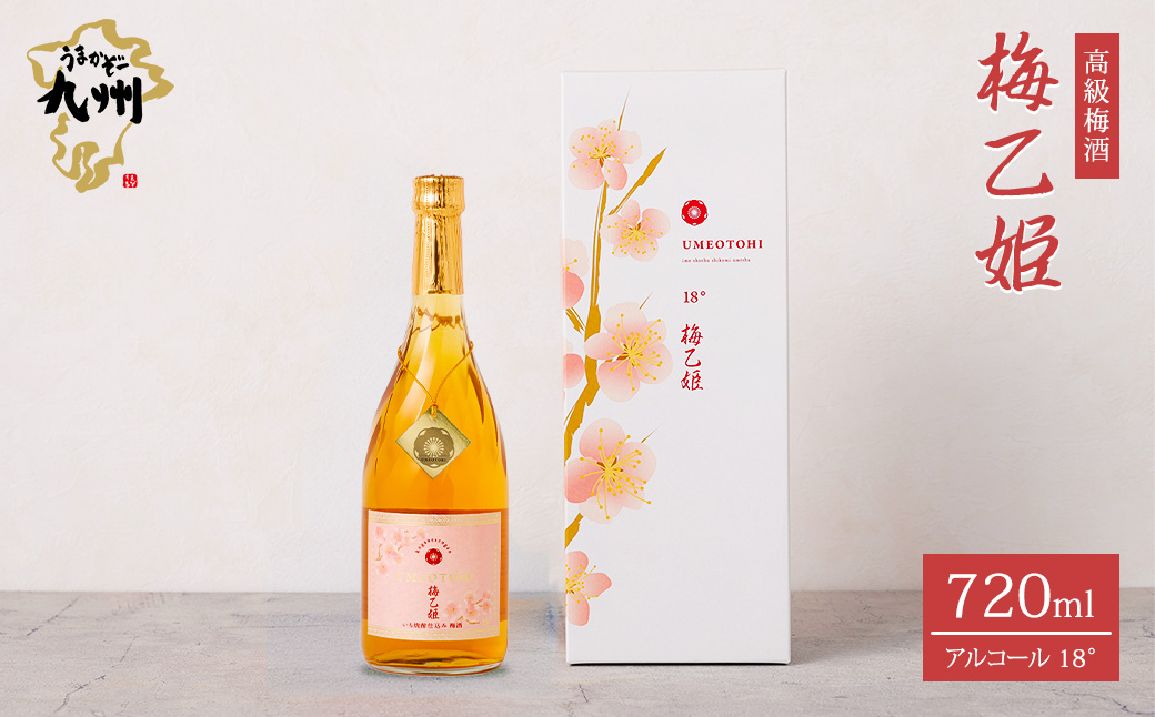 うまかぞー九州 本格梅酒 梅乙姫 720ml 梅酒　KN163-002