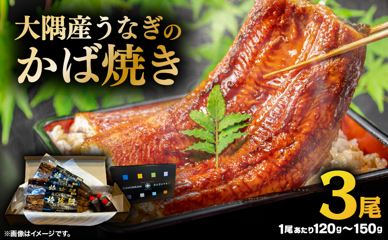大隅産うなぎのかば焼き 3尾　KN174-001-03