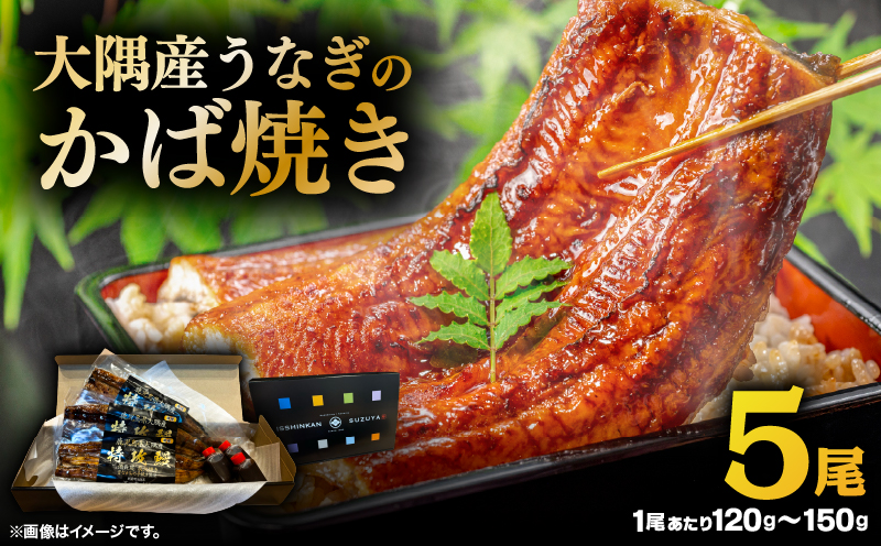 大隅産うなぎのかば焼き 5尾　KN174-001-05
