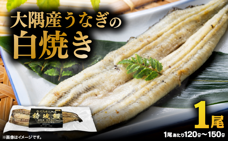 大隅産うなぎの白焼き 1尾　KN174-002-01