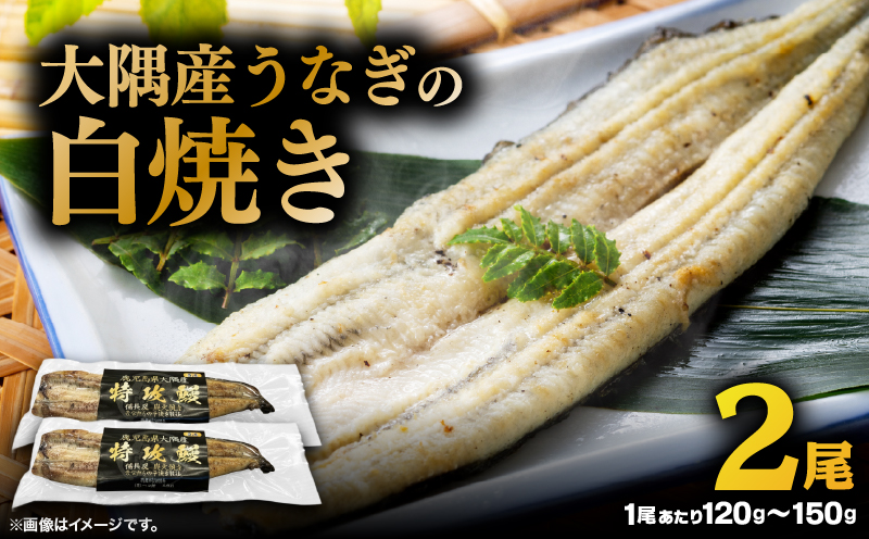 大隅産うなぎの白焼き 2尾　KN174-002-02