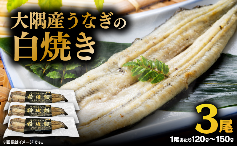 大隅産うなぎの白焼き 3尾　KN174-002-03