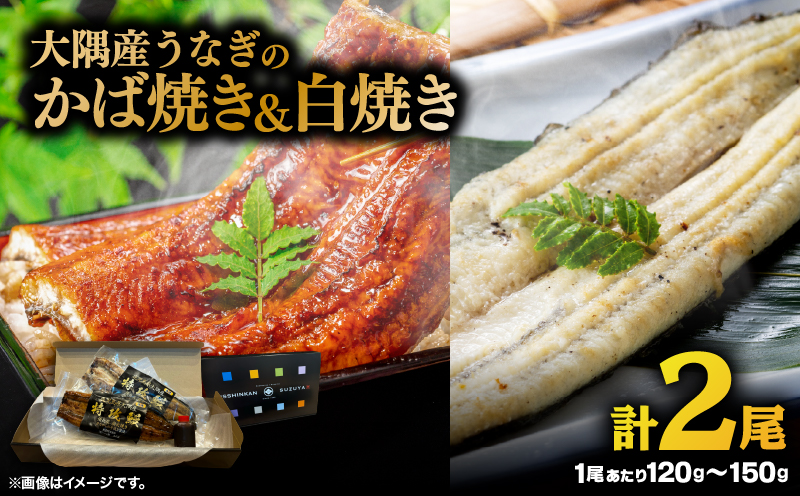 大隅産うなぎのかば焼き 1尾・白焼き 1尾　KN174-003