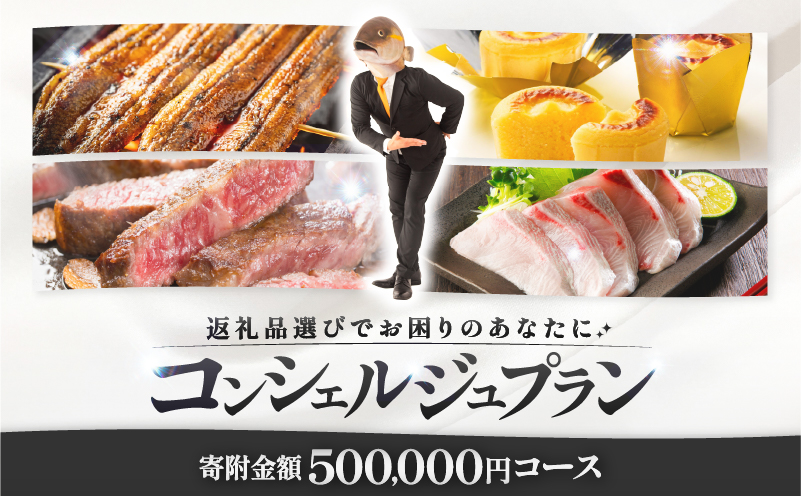 コンシェルジュプラン 寄付額50万円コース　KN000-CP050