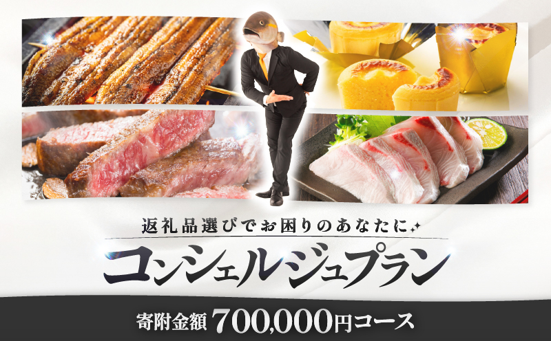 コンシェルジュプラン 寄付額70万円コース KN000-CP070: 鹿屋市