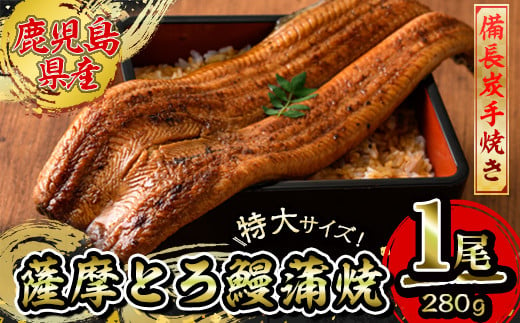 [江口商店監修]薩摩とろ鰻蒲焼特大サイズ一尾 280g