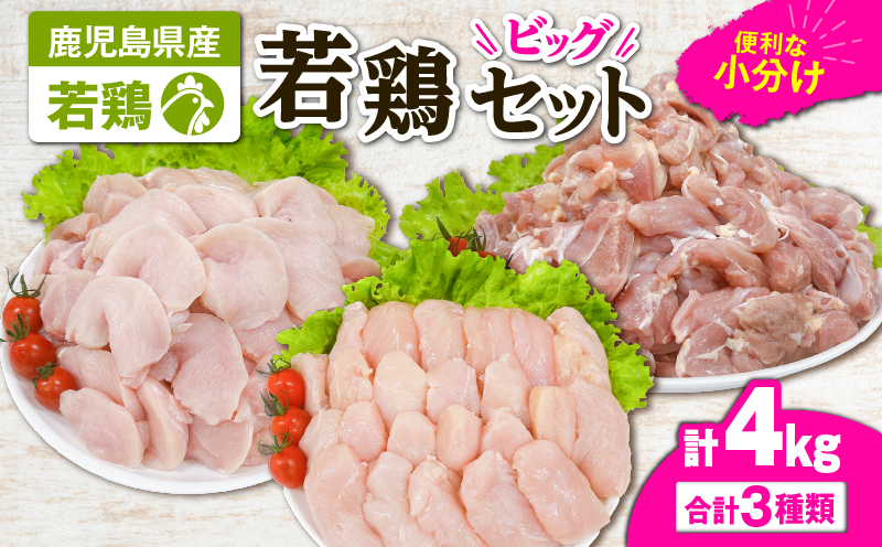 2648 若鶏4kgビッグセット　KN105-001-02