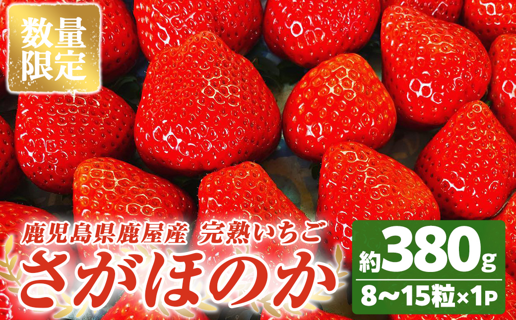 [数量限定]鹿児島県産いちご「さがほのか」8〜15粒 ストロベリーハウス彩より直送