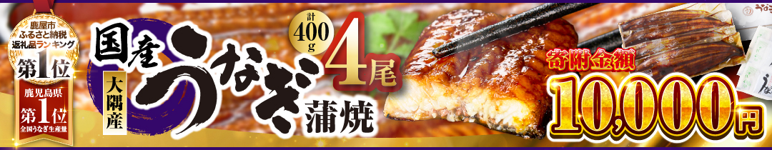 KN007-023（期間限定）