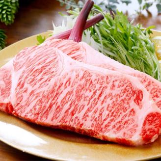 A5等級黒毛和牛サーロインステーキ2枚＆焼肉用(計660g) C0-16【配送不可地域：離島】