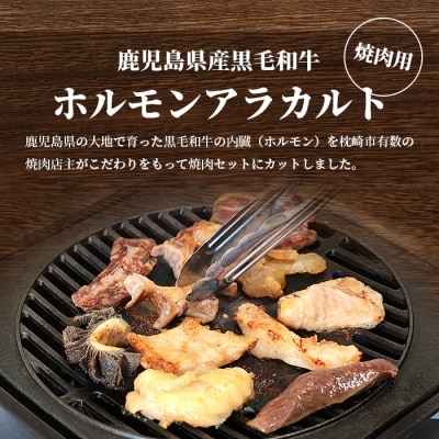 鹿児島県産黒毛和牛 ホルモン アラカルトセット 食べ比べ11部位 焼肉屋店主こだわり A3-203【配送不可地域：離島】