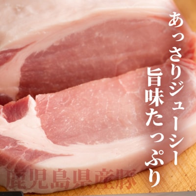 鹿児島県産豚 ロース しょうが焼き用 300g×2パック 豚ロース肉 生姜焼き A3-206【配送不可地域：離島】