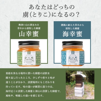 【 数量限定 】国産 生はちみつ【100%純粋】日本みつばち【非加熱・無添加の生蜂蜜】 B3-16【配送不可地域：離島】