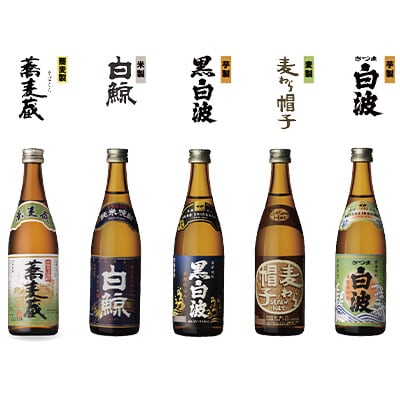 【「5銘柄」ミニチュアボトル10本セット】「よいしょ白波 厳選ミニボトル」 【木箱入】 B3-45【配送不可地域：離島】