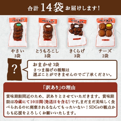【訳あり】さつまあげ 合計14袋【合計2.5Kg以上】真空パック 小分け【産地直送】 A3-310【配送不可地域：離島】