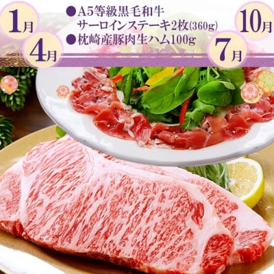 定期便(3回配送) 鹿児島産A5等級黒毛和牛＆黒豚 EE-0028【配送不可地域：離島】