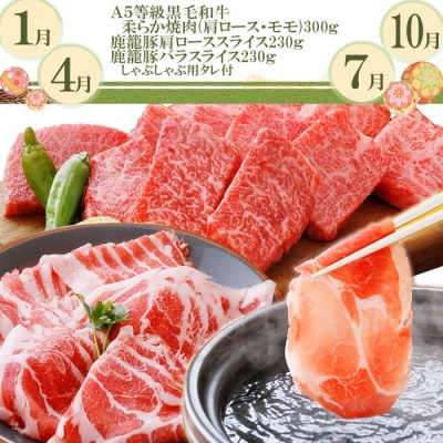 定期便(3回配送)　毎月A5等級黒毛和牛＆鹿籠豚(枕崎産黒豚)　「数量限定」 EE-0072【配送不可地域：離島】