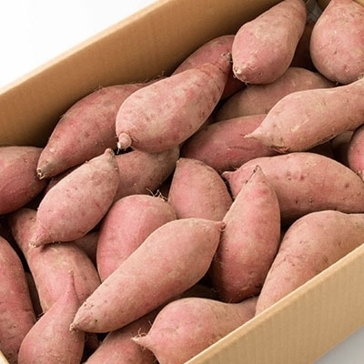 本場鹿児島さつまいも【マロンスイート】6kg　2025年10月中旬より発送A3-59【配送不可地域：離島】