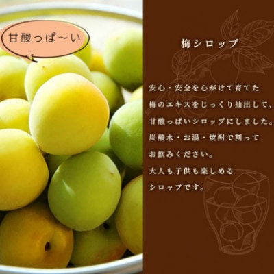 【お歳暮・のし付き】ふかざわ農園の梅シロップ 180ml×3瓶　手づくり A3-27S【配送不可地域：離島】