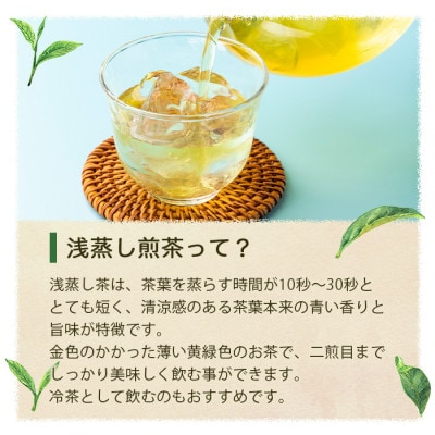 【のし付き・お歳暮】浅蒸し煎茶(100g×3袋)若蒸し煎茶 ギフト 生産者直送 枕崎市 A3-5S【配送不可地域：離島】