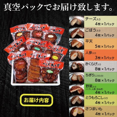 真空パック さつま揚げ(つけあげ)全9種詰合せ 化粧箱入り B0-22【配送不可地域：離島】