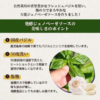 【母の日】発酵ジェノベーゼソース(150g×3個)】【鹿児島県枕崎産 バジル使用】 A5-13M【配送不可地域：離島】