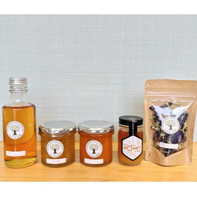 【父の日】日本ミツバチの生蜂蜜・梅シロップ・ジャム2種・バタフライピー A8-5F【配送不可地域：離島】