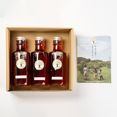 【のし付き・お中元】ふかざわ農園の梅すももシロップ　A3-28C【配送不可地域：離島】