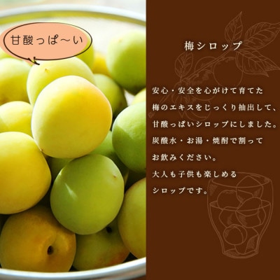【のし付き・お中元】ふかざわ農園の梅シロップ ・手づくり シロップ ジュース 希釈用 A3-27C【配送不可地域：離島】