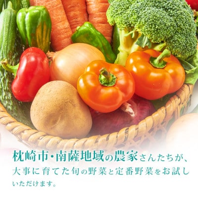 枕崎には野菜もある!!定番・旬のお試し野菜セット　Z0-27【配送不可地域：離島】