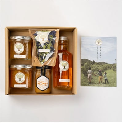 【のし付き・お歳暮】生蜂蜜・梅シロップ・ジャム2種・バタフライピー　バラエティセット A8-5S【配送不可地域：離島】