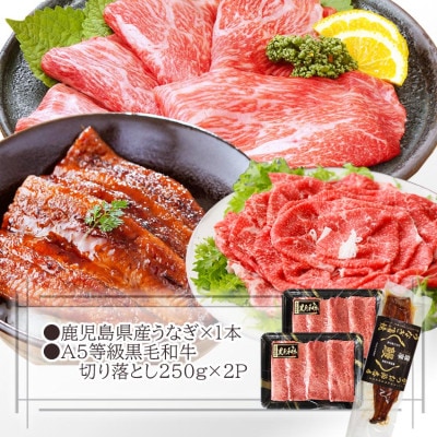 A5等級黒毛和牛＆鰻　B1-2【配送不可地域：離島】