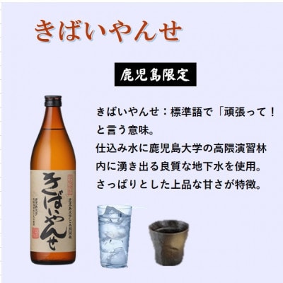 【本格焼酎】きばいやんせ【鹿児島限定】 900ml×2本 A2-12【配送不可地域：離島】