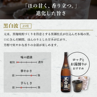 【薩摩酒造の定番・人気 黒白波】900ml2本と【だし黒酢ジュレ】1個のセット　A5-19【配送不可地域：離島】