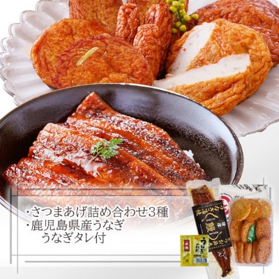 【父の日】鹿児島県産うなぎとさつま揚げ　大サイズ鰻1尾と3種類のさつま揚げ12枚入りA2-16F【配送不可地域：離島】